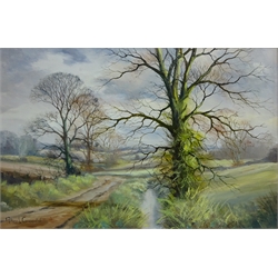  County Path, 20th century oil on canvas signed by Peter J.Greenhill 50cm x 75cm  