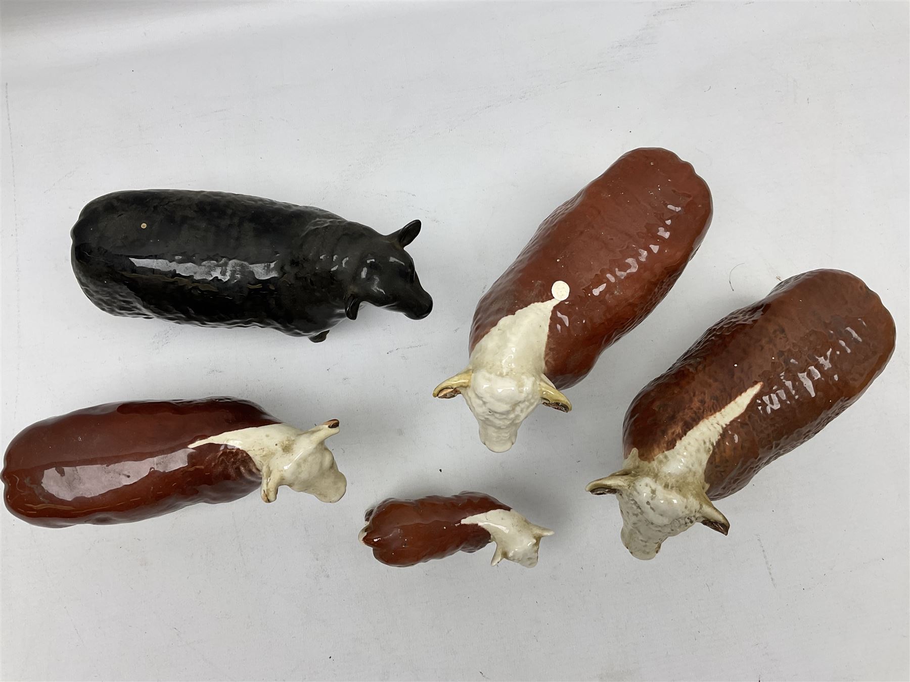 Five Beswick cows, comprising Aberdeen Angus cow, approved by the Aberdeen Angus Cattle Society no. 1562, Two Hereford Bulls, 'Ch. of Champions' no. 1363, Hereford  cow 'Ch of Champion' no. 1360, and calf no.1827, all with printed mark beneath 