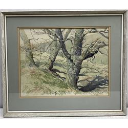 Herbert Rodmell (British 1913-1994): 'Oak Trees in Bransdale North Yorkshire, watercolour signed 34cm x 44cm
Provenance: Direct from the family of the artist.