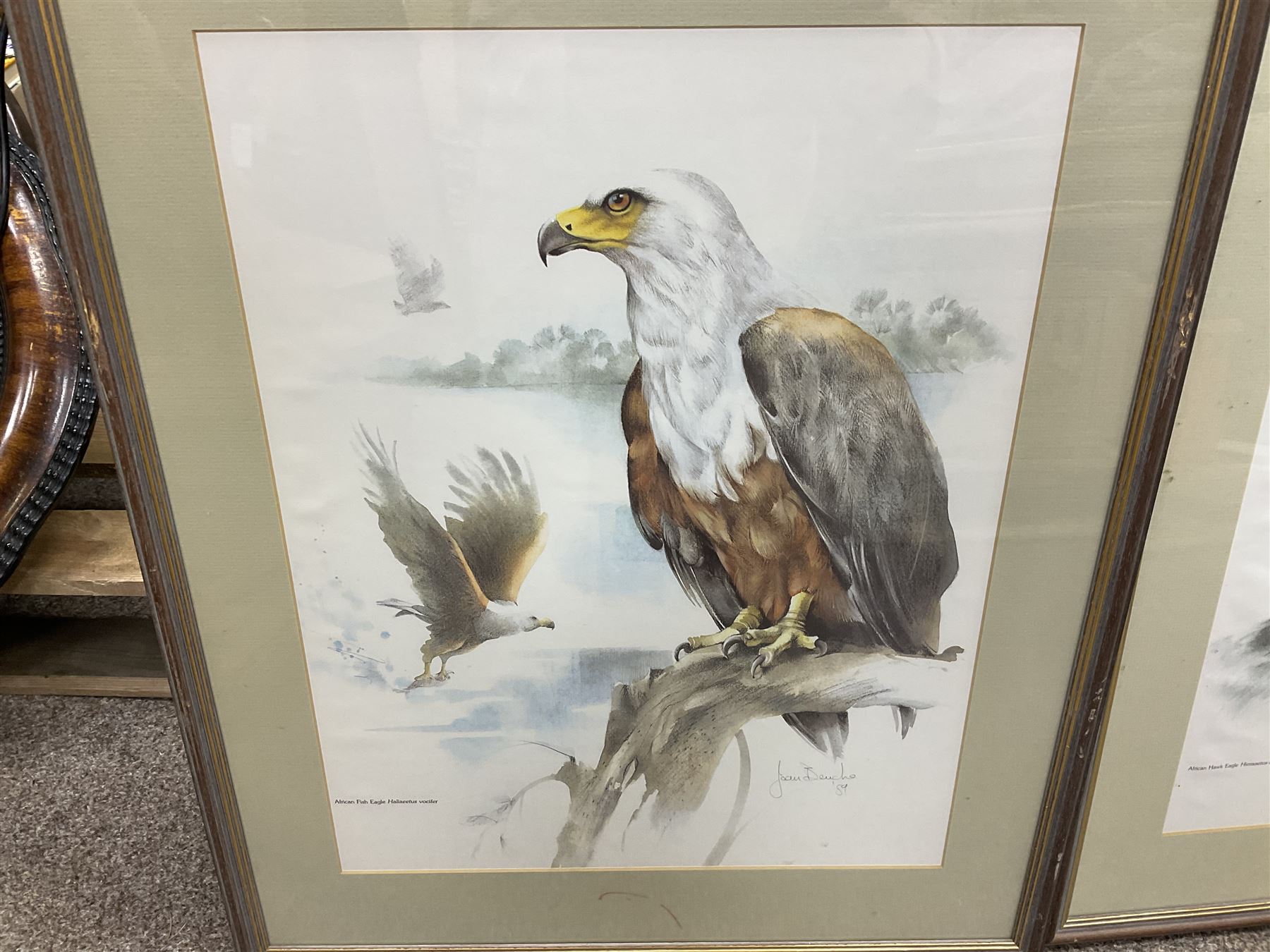 After Joan Beuche (South African 20th century) Eagles, set of six coloured prints (6)