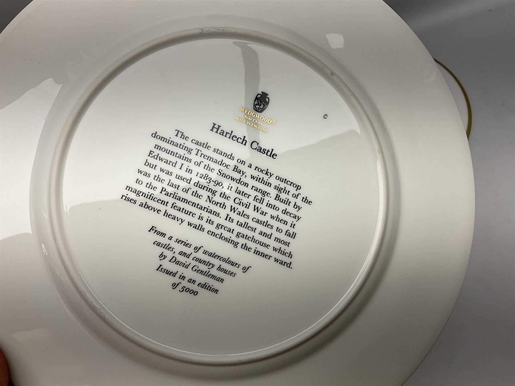 Pair of 19th century Ashworths Ironstone meat plates, with impressed and printed marks to reverse, and set of eight Wedgwood collectors plates