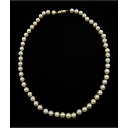 Single strand white/pink cultured pearl necklace, with 9ct gold diamond set clasp hallmarked and receipt of purchase