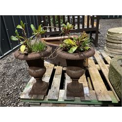 Pair of small cast iron garden urns - THIS LOT IS TO BE COLLECTED BY APPOINTMENT FROM DUGGLEBY STORAGE, GREAT HILL, EASTFIELD, SCARBOROUGH, YO11 3TX