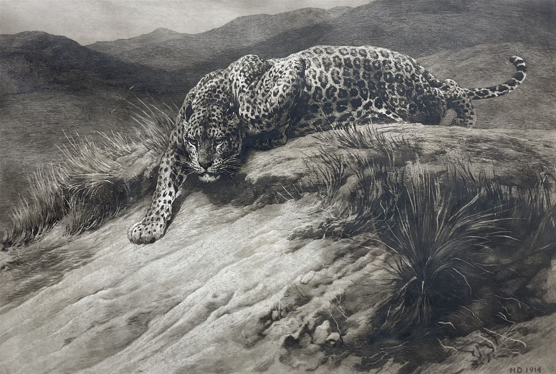 Herbert Thomas Dicksee (English 1862-1942): 'Stealth' - A Leopard, drypoint etching signed in pencil, initialled and dated 1914 in the plate 50cm x 71cm