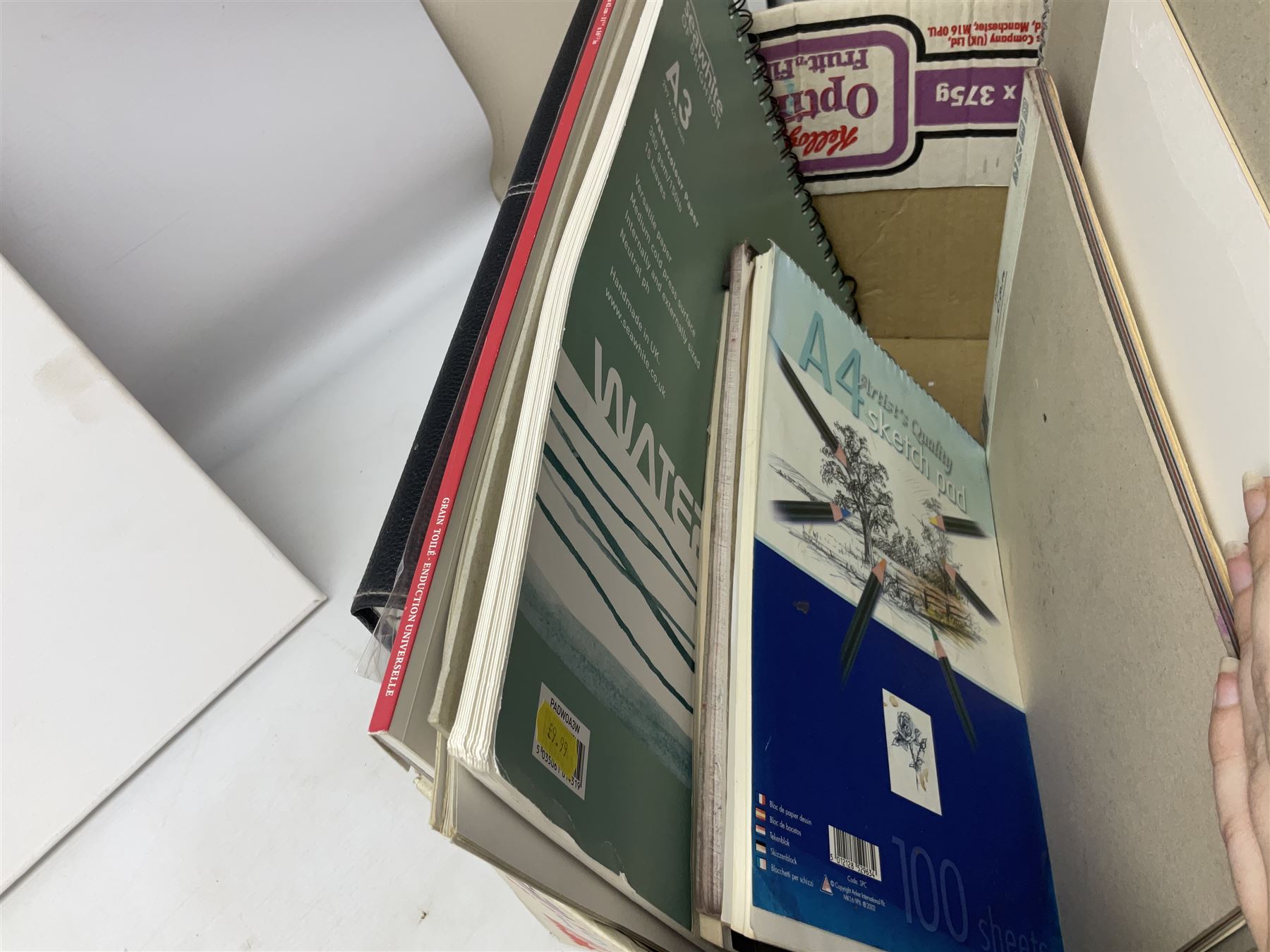 Large quantity of art supplies and equipment to include Crimson & Blake easel, tabletop easel, two large Winsor & Newton canvases and further smaller canvanses, sketchpads, paints etc