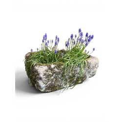 19th century weathered hewn stone planter of rectangular form, planted