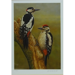  Great Spotted Woodpecker, Mute Swan and Roe Deer, three limited edition colour prints signed and numbered in pencil by Robert E Fuller (British 1972-) max 34cm x 24cm (3)   