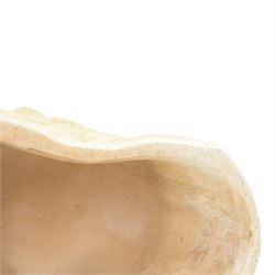 Gebruder Michell Berlin; 19th Century plaster Death Mask of Napoleon, signed to the top, H30cm 