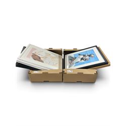 Collection of pictures, to include Victoria Woodward (British Contemporary): Female Portra...