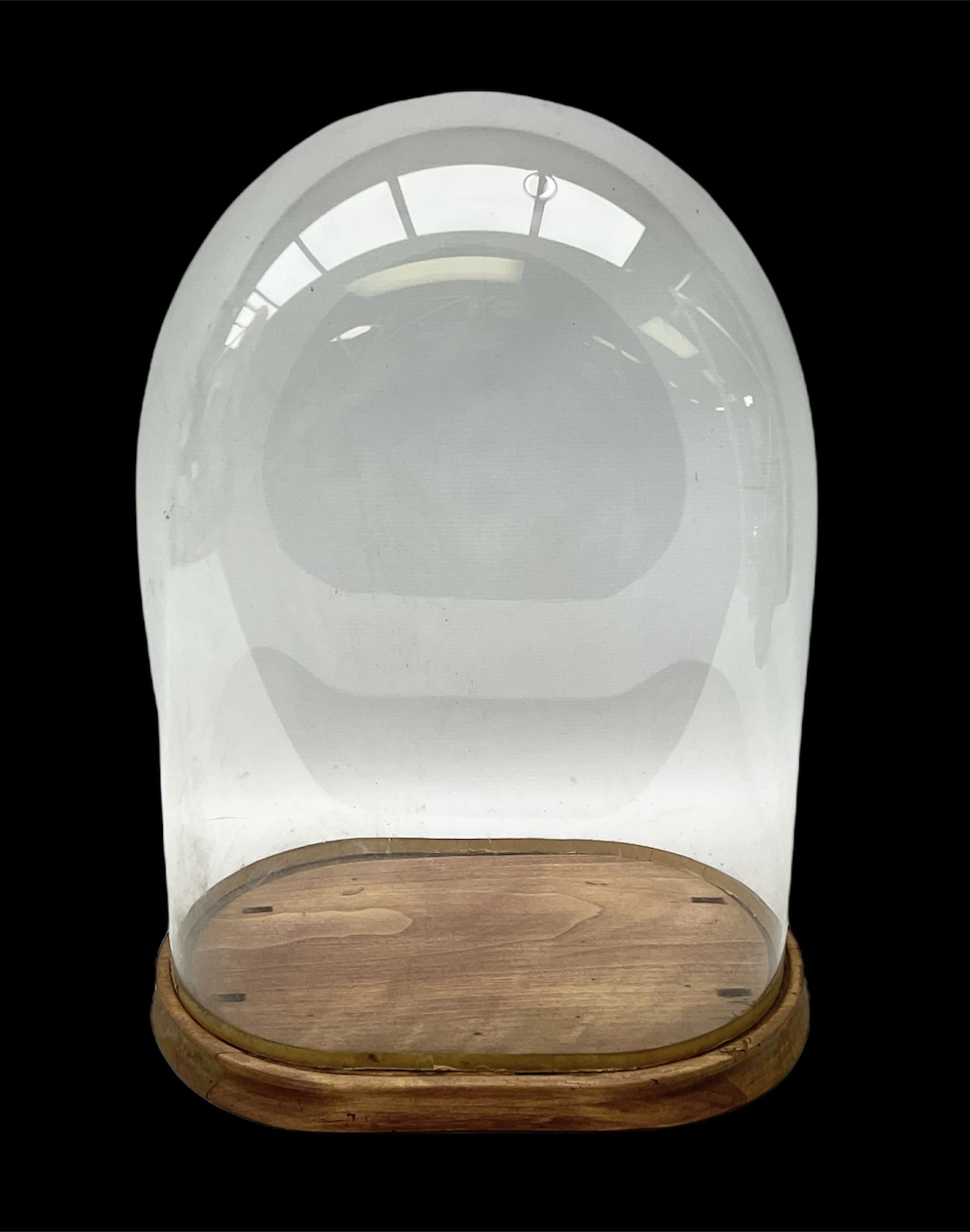 Victorian glass dome on stripped birch base, H48cm 