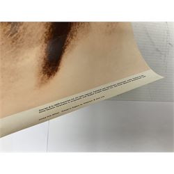 Set of 4 limited edition prints of the Beatles, by Richard Avedon for the Daily Express, H68 W48cm