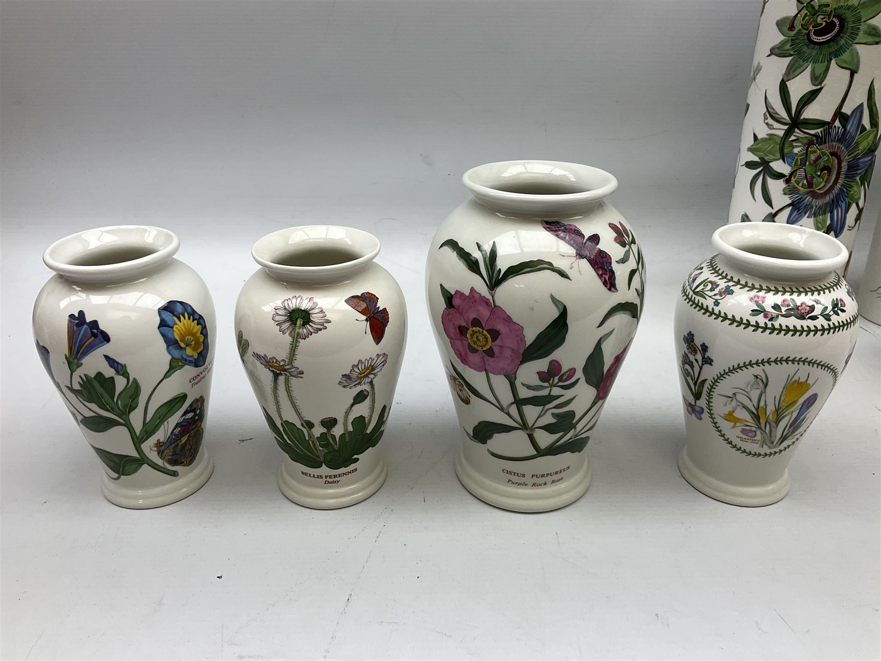 Quantity of Portmeirion The Botanic Garden pattern storage jars of various sizes, planters, vases etc (approx 47)  