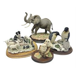 Border Fine Arts figure 'Two Owlets', together with Country Artists figures, 'Bull Elephant' and 'Penguin Family' and a Leonardo Border Collie group figure, tallest H22.5cm