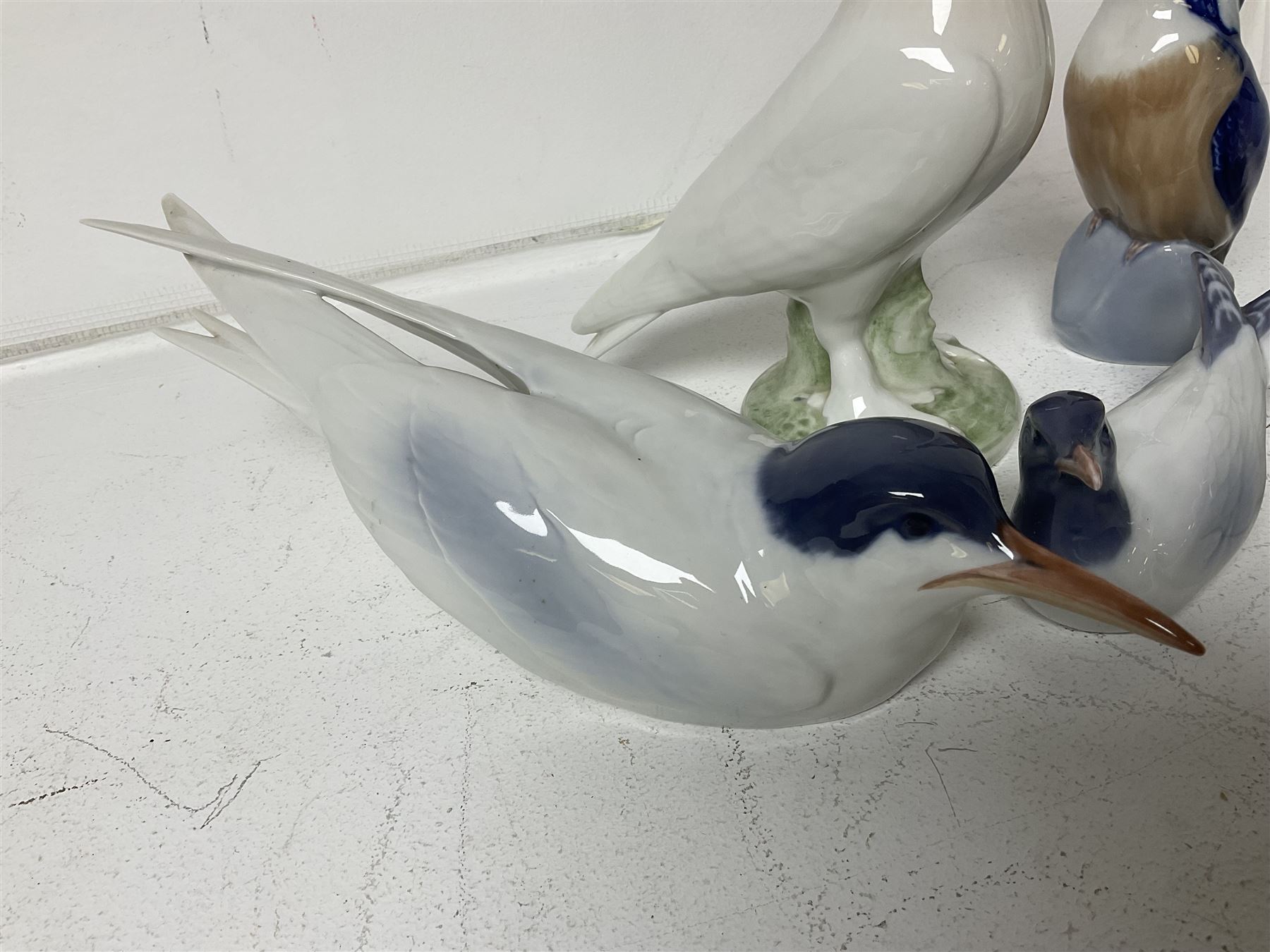 Seven Royal Copenhagen figures, including Arctic tern no 827, Swan no 755, Kingfisher no 2257 etc, together with Royal Copenhagen dish