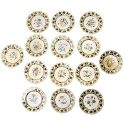 Set of fourteen mid 19th century Derby dessert plates, each painted with a named botanical...