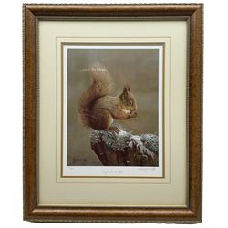 Robert E Fuller (British 1972-): 'Squirrel Nutkin', limited edition colour print signed and numbered 20/850 in pencil 38.5cm x 29cm