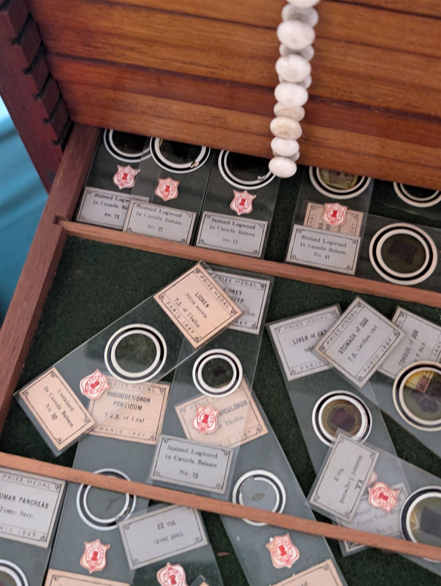 Victorian collector's specimen cabinet, containing a number of prepared microscope slides including miniature photographs, animal and human pathological, physiological and histological specimens and botanical specimens, mostly annotated in ink, the cabinet with glazed door, the drawers with bone handles and lined with green felt, owned by Dr Arthur Bristow, together with a picture of the doctor, cabinet H43cm