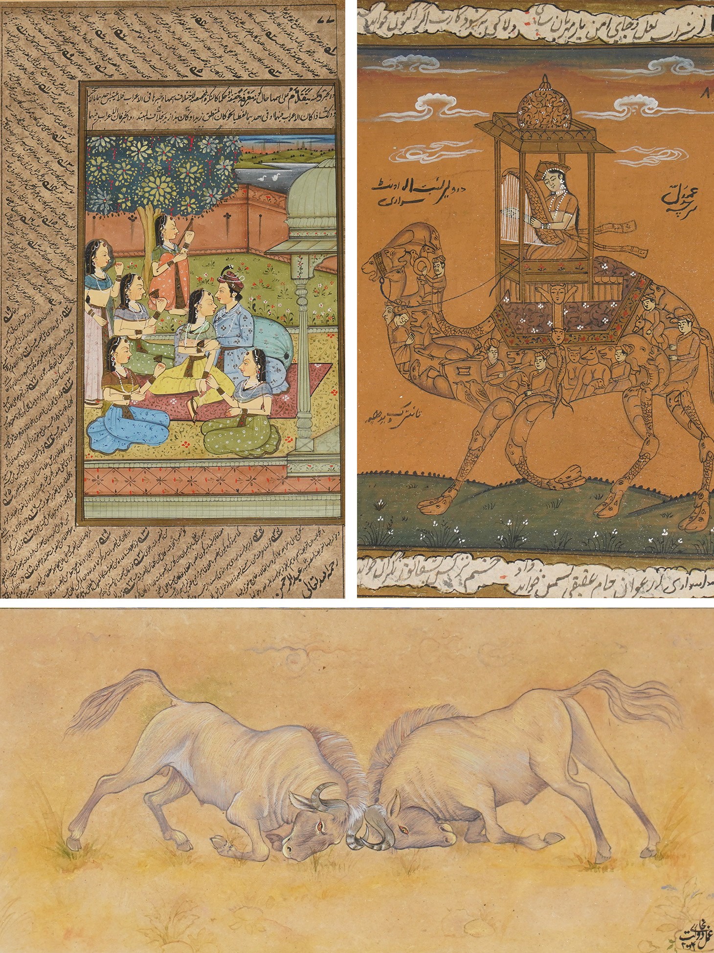 After Muhammad Daulat or 'Dawlat' (Mughal School fl.1595-1640): Water Buffalo Fighting, ink watercolour and gold on paper indistinctly signed 12cm x 22cm; together with two further Mughal pictures, depicting a composite camel and rider, and a Prince and harem in a garden setting (3)