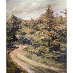 N C Hanson (British 20th century): Pair of oil on board North Yorkshire Moors landscapes signed, largest 66cm x 56cm (2)