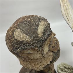 Border Fine Arts figure Barn Owl in Flight B1532, boxed with certificate, together with Country Artists figure Tawny Owl with Honeysuckle CA441, tallest H31.5cm