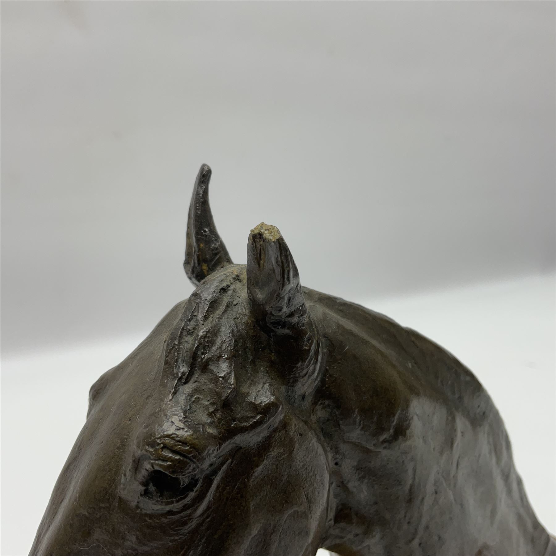 After Sydney March, bronze figure of horses head, wupon a wooden plinth, H17cm