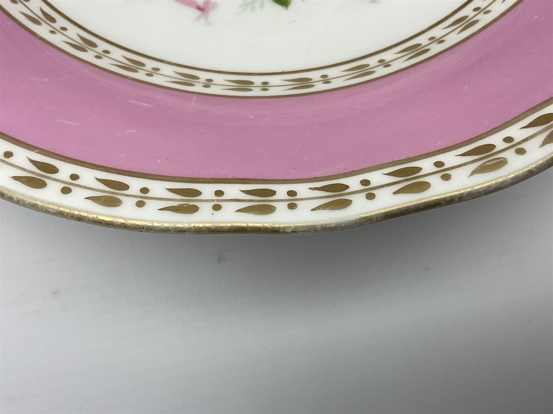 Victorian Copeland, Botanical dessert service, decorated with floral sprigs to the centre with a pink and gilt border, comprising five comports and seven plates, largest comport H20cm, plate D22cm