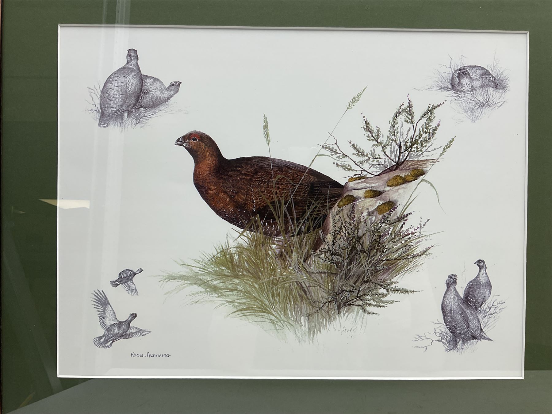 After Alan Ellison, limited edition colour print 'Working Springers' no.178/750 signed on the mount 43 x 59cm; and seven colour prints after Nigel Hemming of game birds and gun dogs; all framed (8)