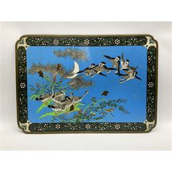 Chinese cloisonné panel, possibly Jiaqing, of rectangular form with shaped corners, decorated with a flock of geese, a number in flight against a blue ground sky detailed with crescent moon, others stood upon a grassy outcrop detailed with flowering vines, set within a foliate border with black ground, the underside with scroll design, H35cm W50cm