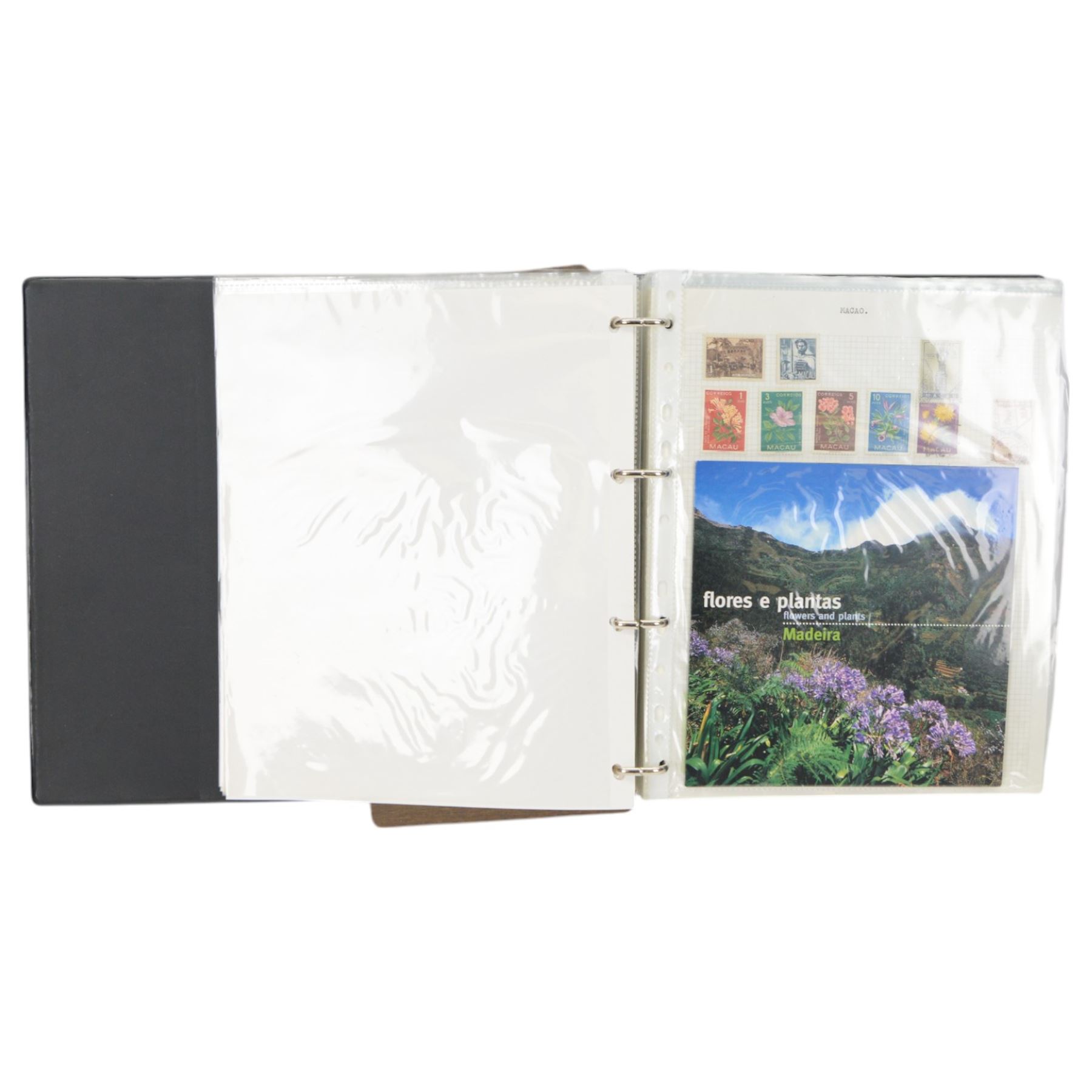 World stamps including Aden, Brunei, Rwanda, Spain, Ireland, Italy, Japan, Hungary, Germany, France, Portugal, Namibia, Netherlands, New Zealand, St Lucia, Malaysia etc, housed in ten ring binder folders