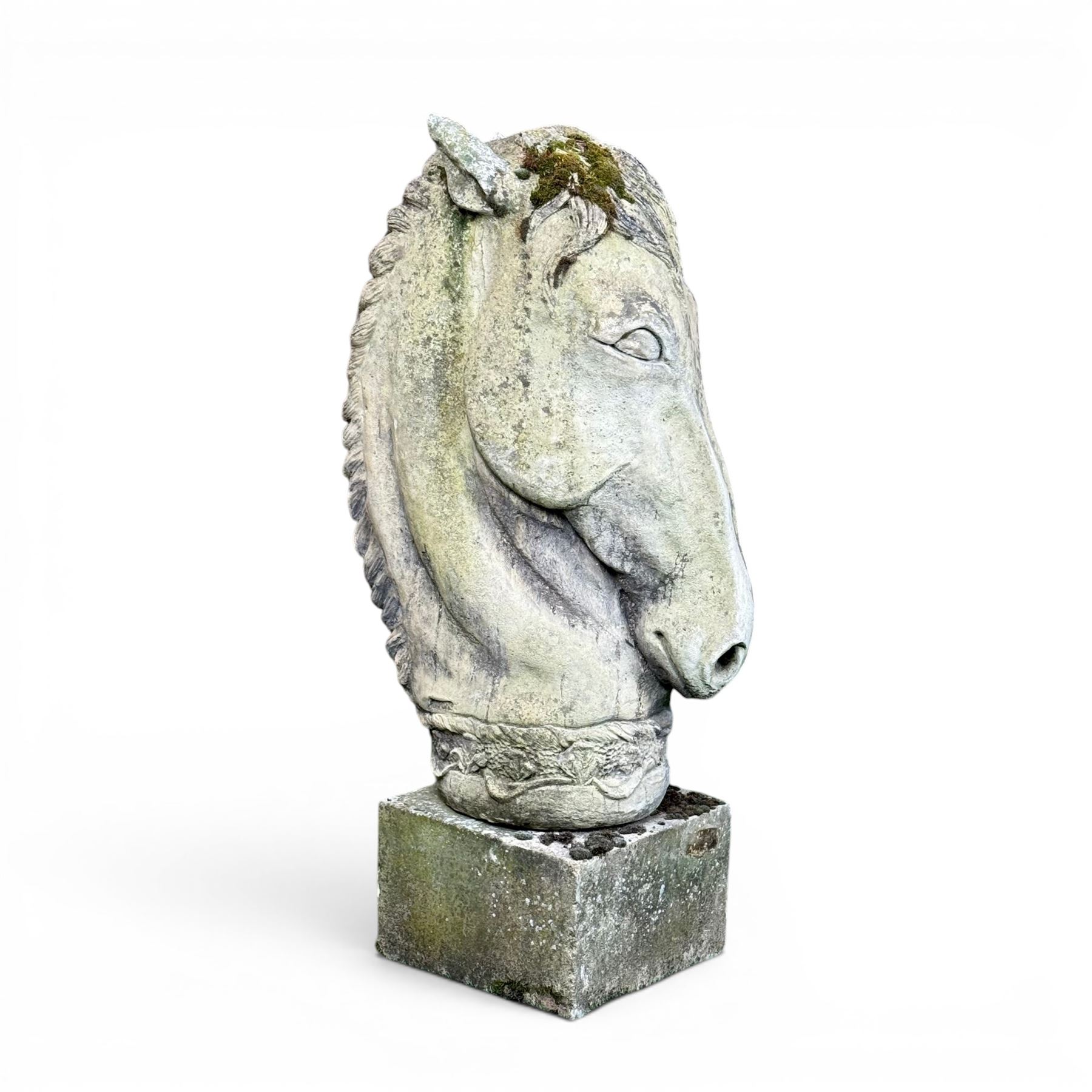 Large weathered cast stone horse head figure, raised on square plinth