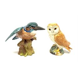 Two Beswick birds, Kingfisher 2371, and Barn Owl, Kingfisher with impressed marks beneath, Barn Owl with printed marks beneath, largest H12.5cm. 