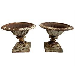 Pair of late 19th century cast iron garden urn planters, shallow bowl with egg and dart moulded rim, on circular footed base and square plinth 
