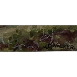 John Dobby Walker (British 1863-1925): 'Monte de Segaria Denia Spain, watercolour signed and titled 18cm x 26.5cm