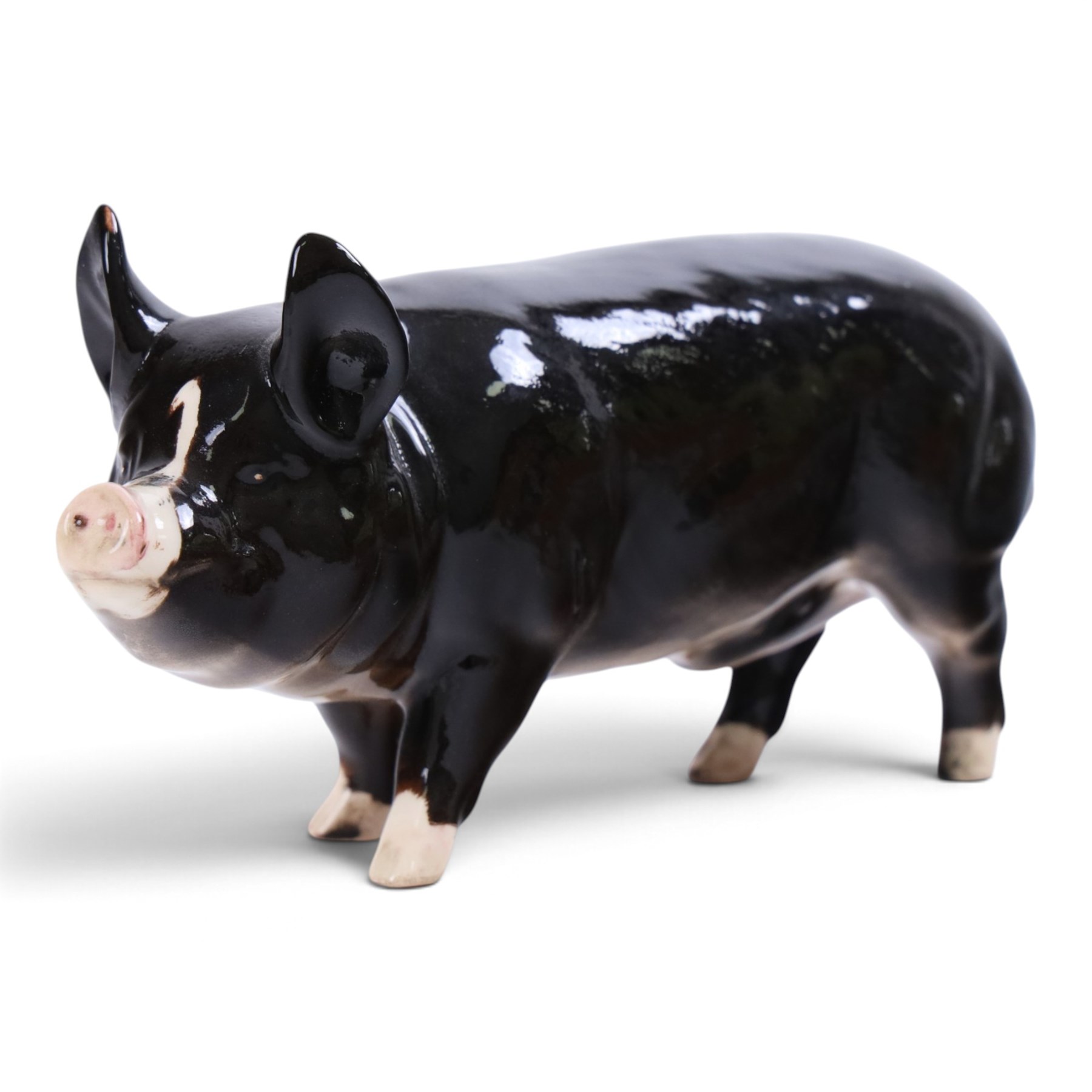 Two Beswick and three Royal Doulton pigs, including Ch Wall Champion pig, Vietnamese Pot Bellied pig, Gloucester Old Spot etc  