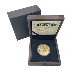 Queen Elizabeth II Bailiwick of Jersey 2014 'The Centenary of the First World War' gold proof five pound coin, cased with certificate