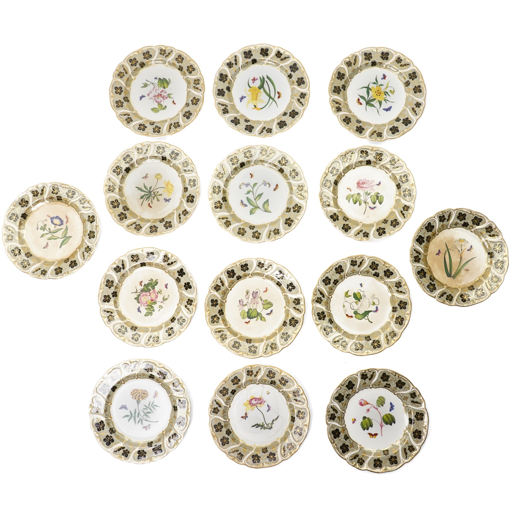 Set of fourteen mid 19th century Derby dessert plates, each painted with a named botanical subject and butterflies within a leaf pattern and gilt border