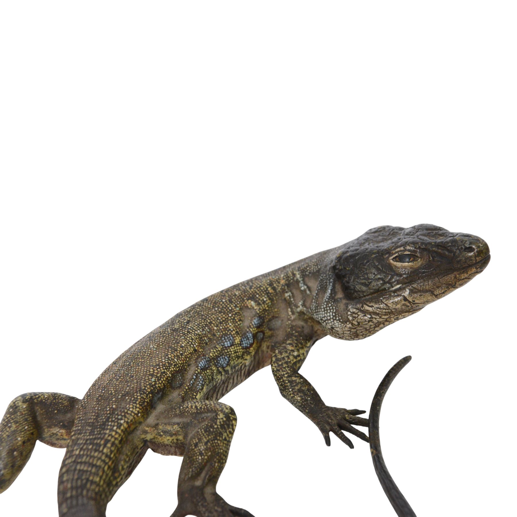 Franz Xavier Bergman (Austrian 1898-1963): cold painted bronze lizard, stamped beneath, L20cm