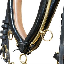 John McDonald - team set of black leather and brass harness, including four black patent leather collars (24