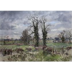 Angus Bernard Rands (Yorkshire 1922-1985): Autumn Landscape, pastel signed 44cm x 63cm 