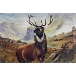 Scottish School (20th century): Monarch of the Glen, oil on canvas indistinctly signed J Doy in impressive gilt frame 59cm x 88cm