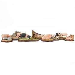 Eight Border Fine Arts pig figures, including Leave Some for Me, model A9792, Upsetting the Apple Cart, model A7935, Hog Heaven, model A1015 etc
