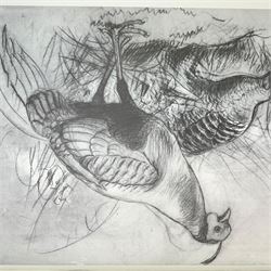 Joseph Wolf, Pheasant Drawings, limited edition folio, pub. The Allen Publishing Company, Hull 1988