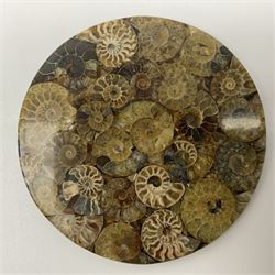 Pair of ammonite effect coasters, D12.5cm