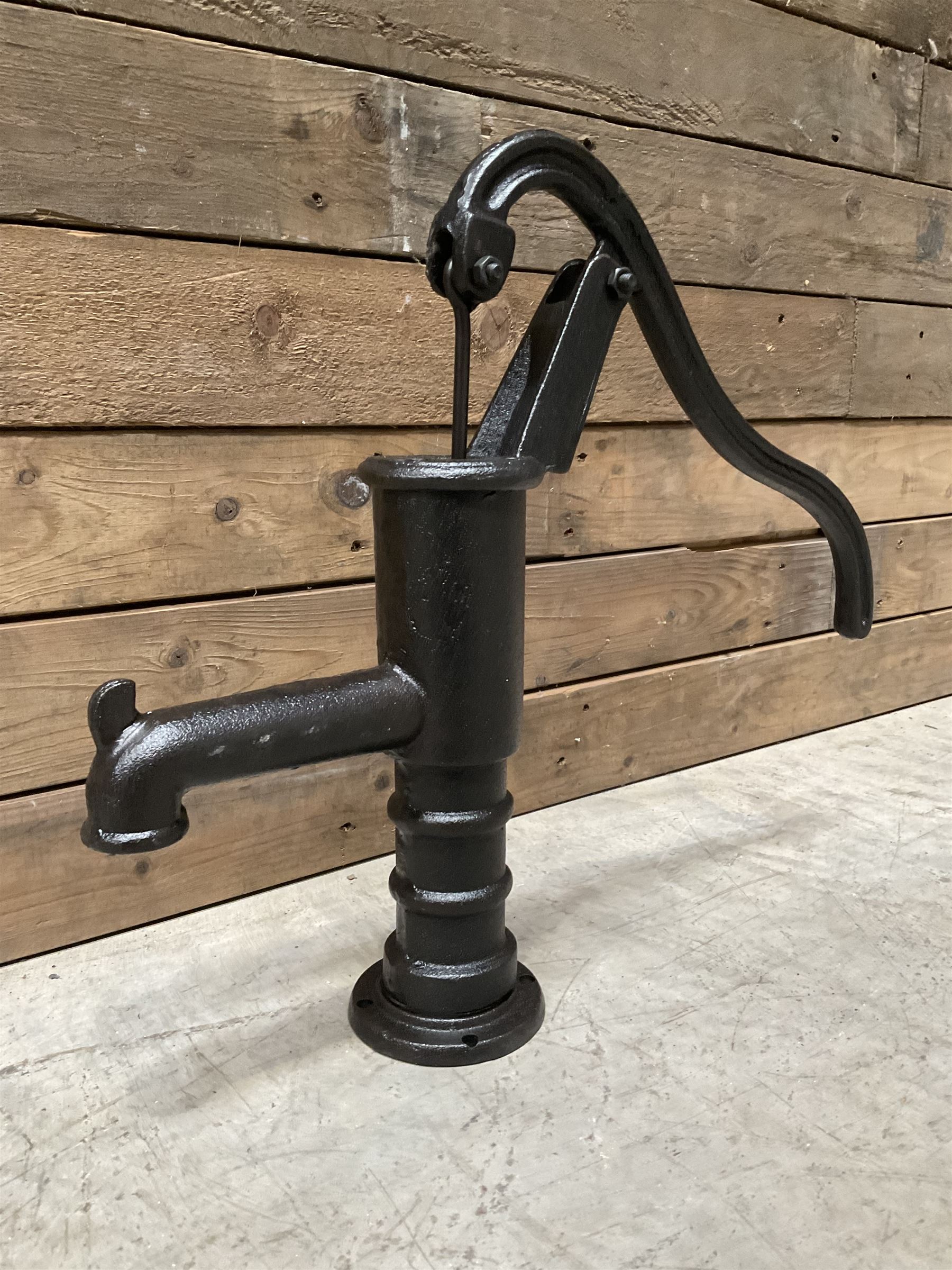 Small cast iron water pump