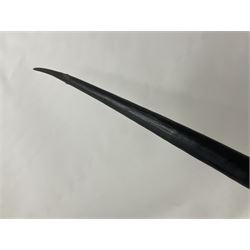 Antlers/Horns: Gemsbok Oryx (Oryx gazella gazella), pair of oryx curved horns on partial skull, mounted on an ebonised shield, H130cm