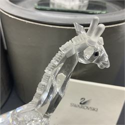 Five Swarovski Crystal figures, comprising giraffe, deer, hummingbird, rose and rearing horse, all with original boxes 