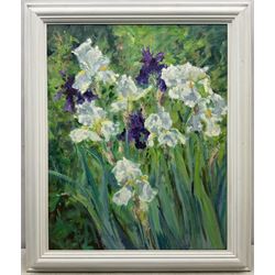 Catherine Tyler (British 1949-): 'Garden Irises', oil on canvas signed, titled verso 73cm x 58cm