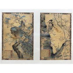 Japanese School (20th century): Birds in Trees, pair woodblock prints framed as one, each 36cm x 24cm, together with a similar set of three framed as one, each 37cm x 25cm (2)