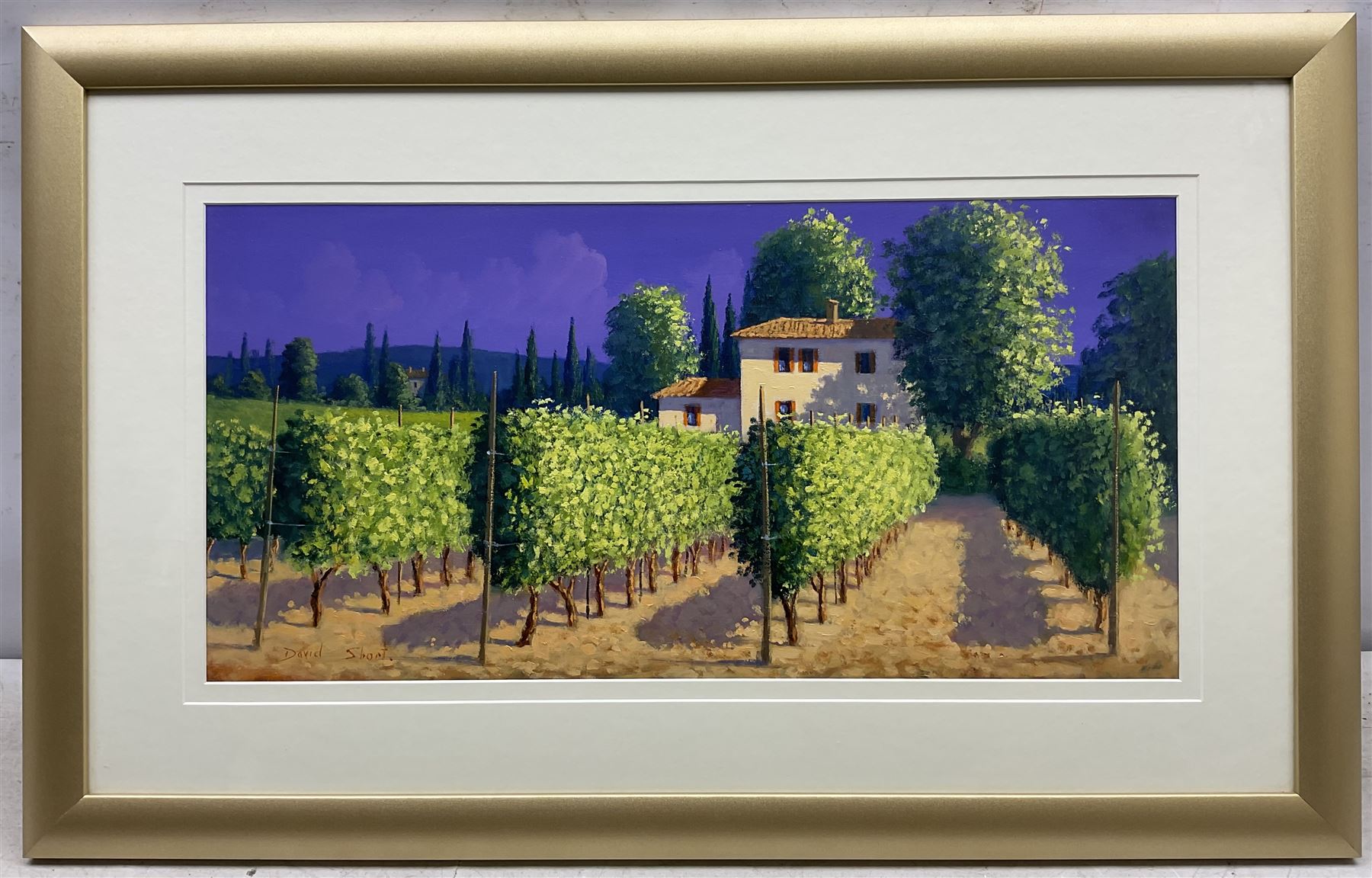 David Short (Nottingham 1940-): Tuscan Vineyards, two oils on board signed, 43cm x 43cm and 29cm x 59cm (2)