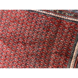Large Persian Araak rug carpet, the red field decorated with repeating boteh motifs, multiple band border, 364cm x 304cm 